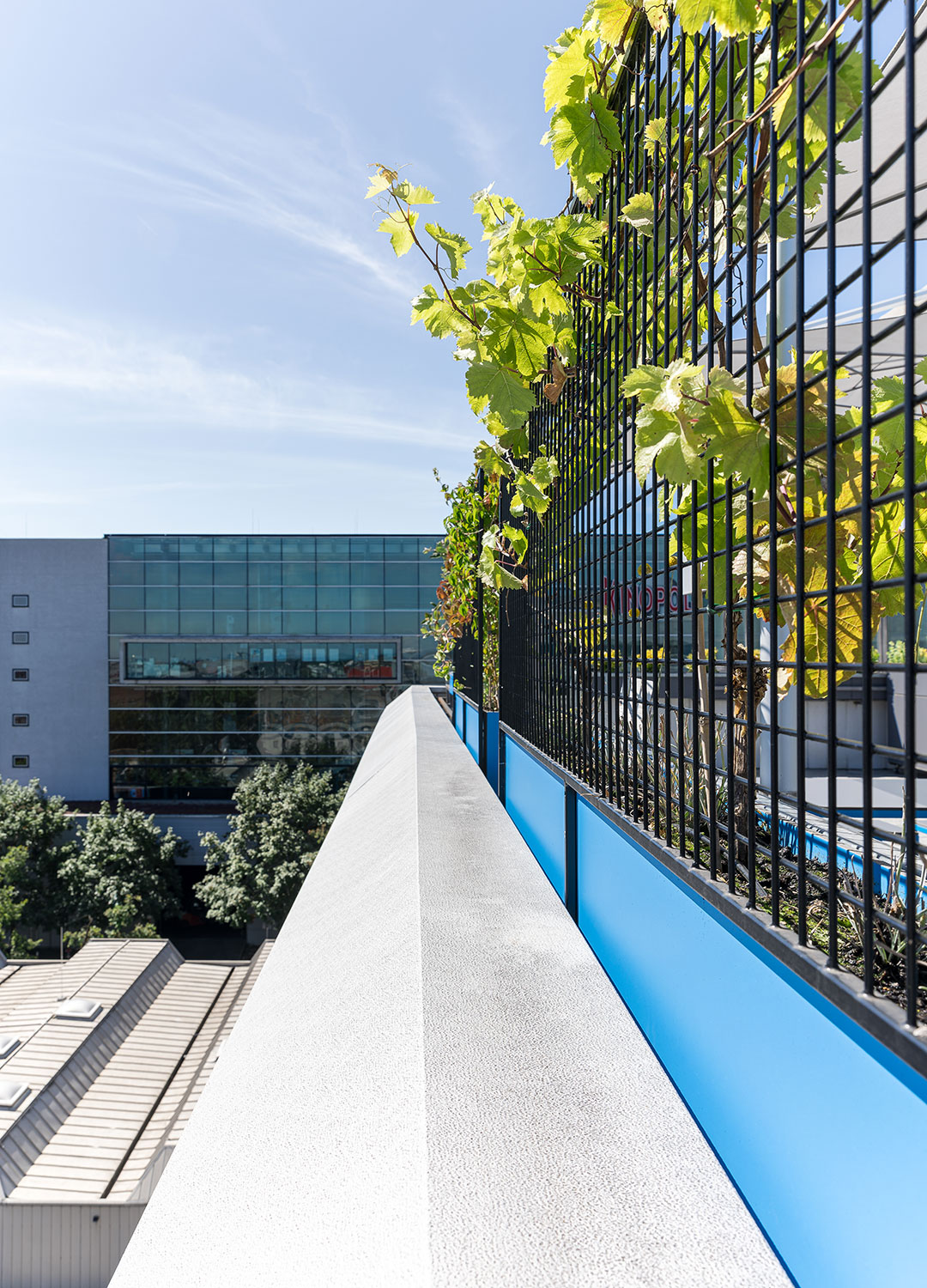 whythefriday-Pickware-Terrasse-11-1080x1500