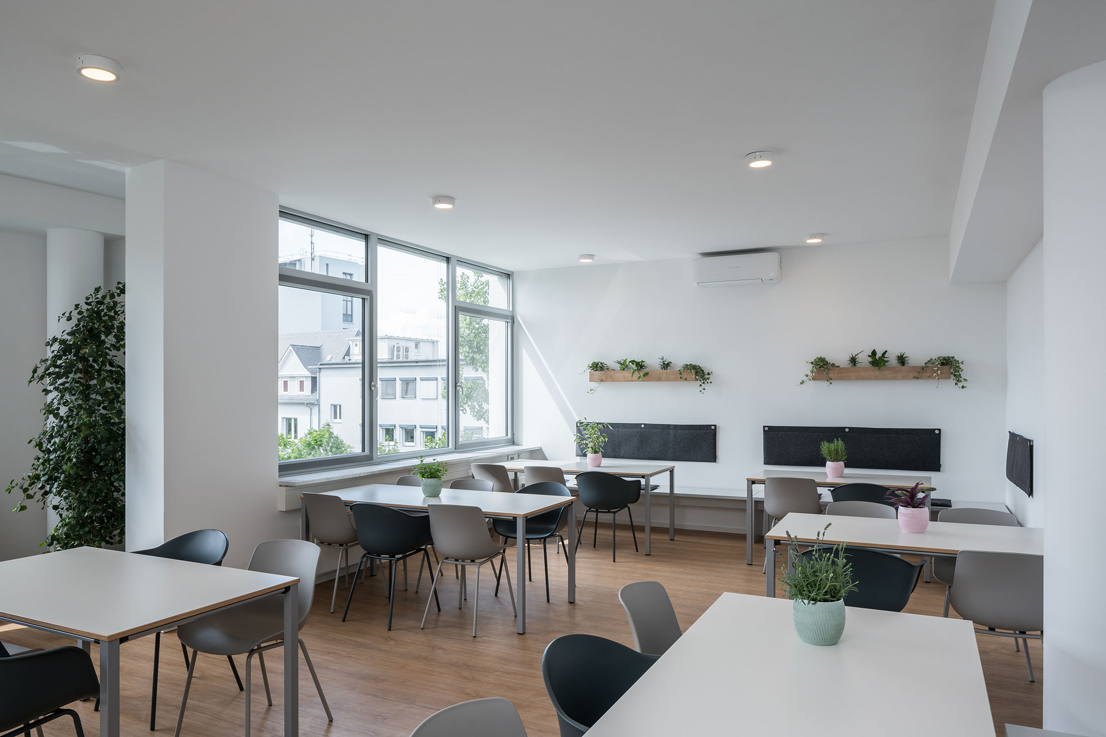 Concienta-08-2220x1480