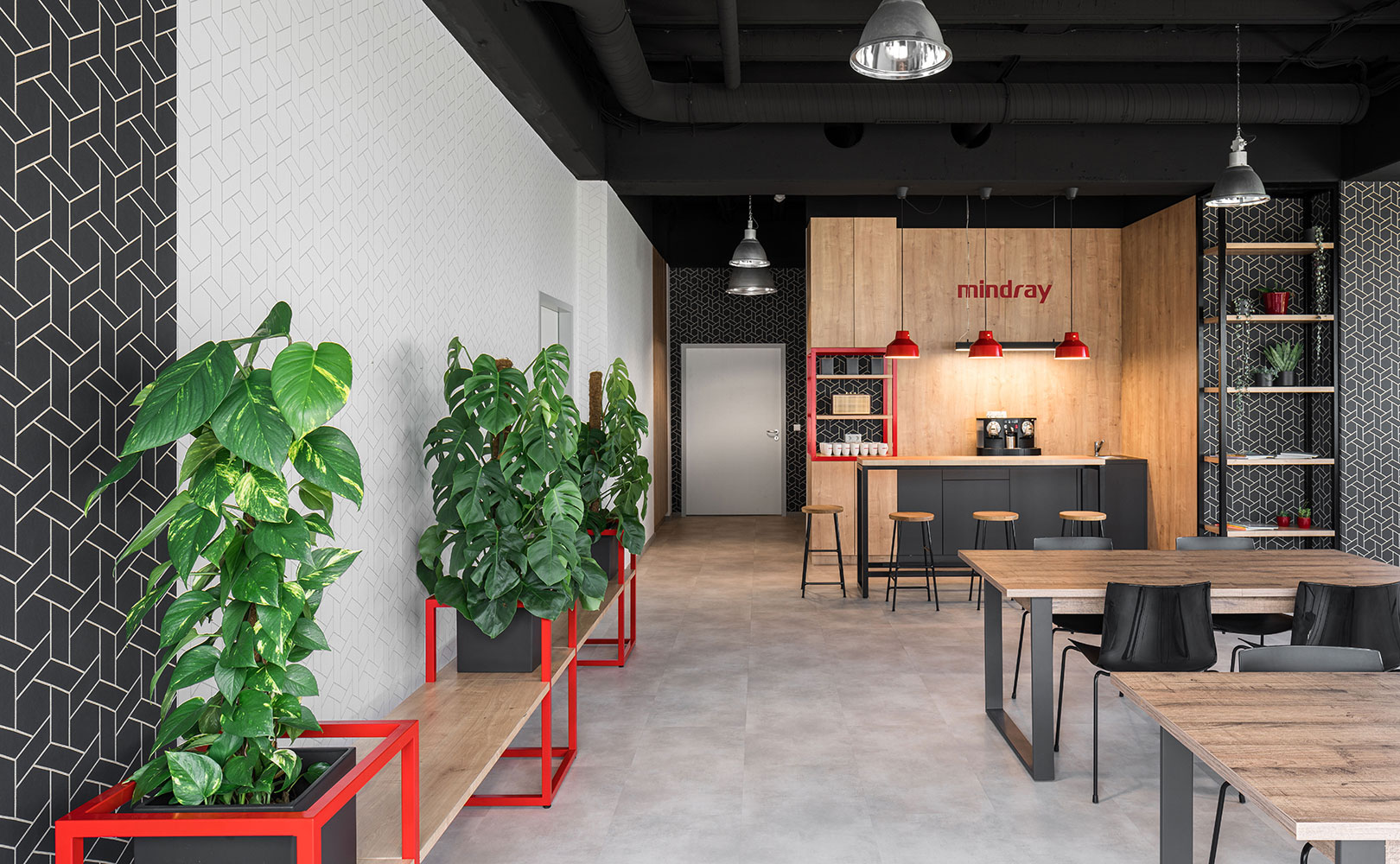 Mindray_04-1620x1000